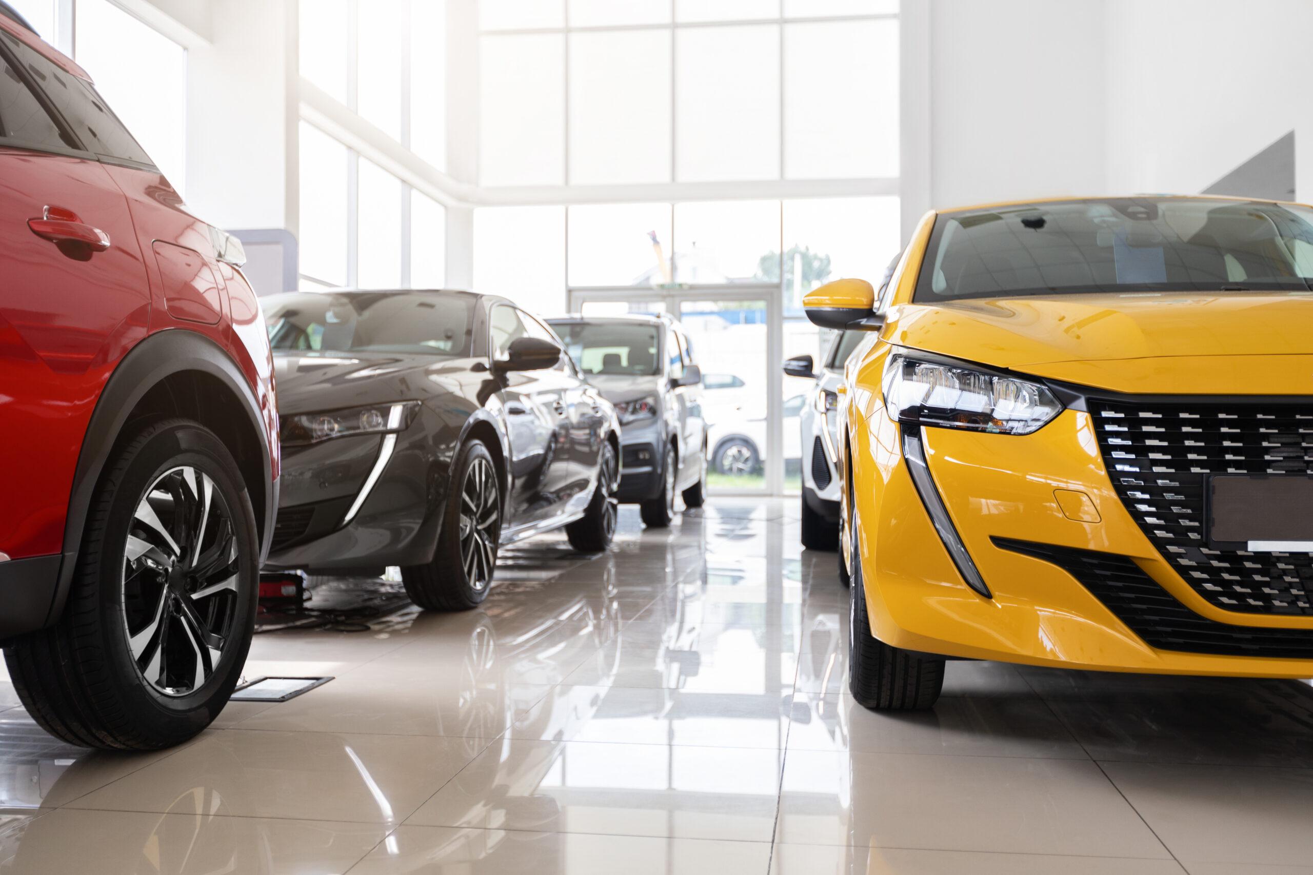 Beautiful modern cars at luxury dealership salon